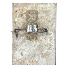 Значок Общество охраны памятников истории и культуры РСФСР (вид 2)