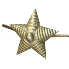 Значок Звезда