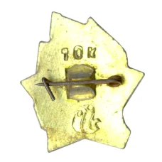 Значок «Всегда Готов!» (вид 2)