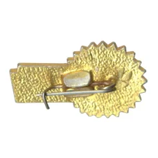 Значок Всероссийское общество изобретателей и рационализаторов (ВОИР) (вид 2)