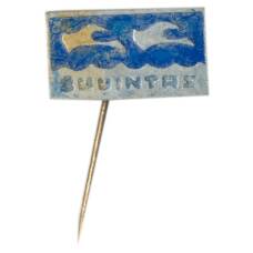 Значок Жувинтас