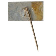 Значок Жувинтас (вид 2)