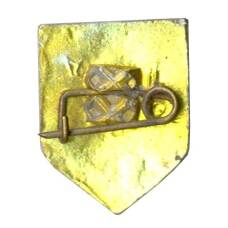 Значок Сосновка (вид 2)