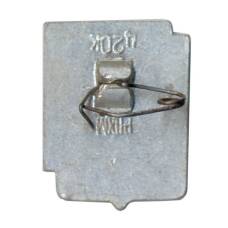 Значок Ростов на Дону (вид 2)