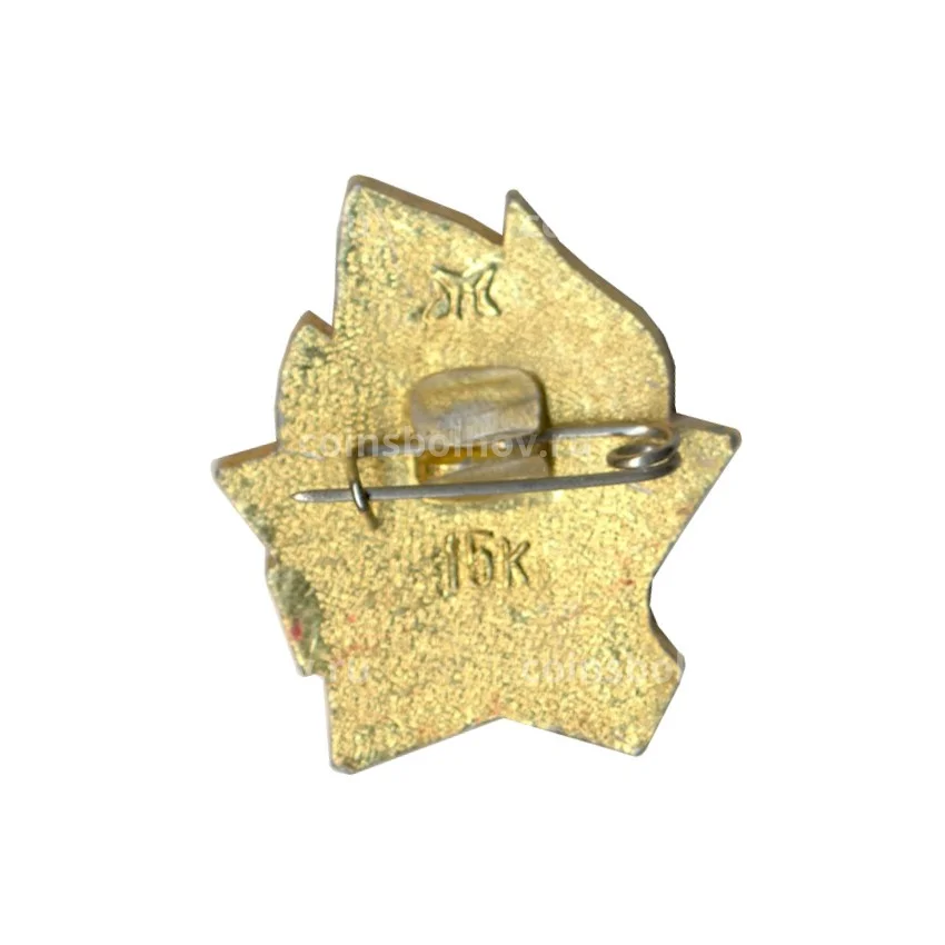 Значок «Всегда Готов!» (вид 2)