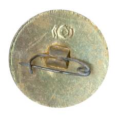 Значок Юный осводовец РСФСР (вид 2)