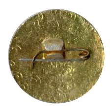 Значок Юный осводовец РСФСР (вид 2)