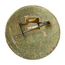 Значок Юный осводовец РСФСР (вид 2)