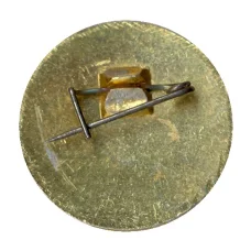 Значок Юный осводовец РСФСР (вид 2)