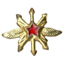 Значок Эмблема «Военно — воздушные силы — техник»