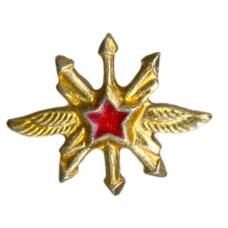 Значок Эмблема «Военно — воздушные силы — техник»
