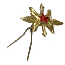 Значок Эмблема «Военно — воздушные силы — техник»