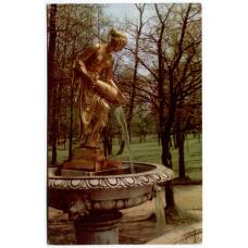 Открытка Петродворец — Фонтан мраморной скамьи