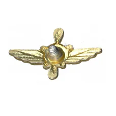 Значок Эмблема «Военно-воздушные силы — техник» (вид 2)