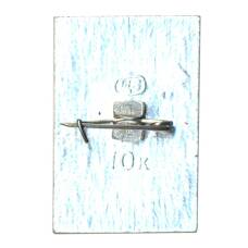 Значок Дубна (вид 2)