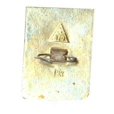 Значок Муром (вид 2)