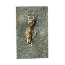 Значок Карпаты (вид 2)