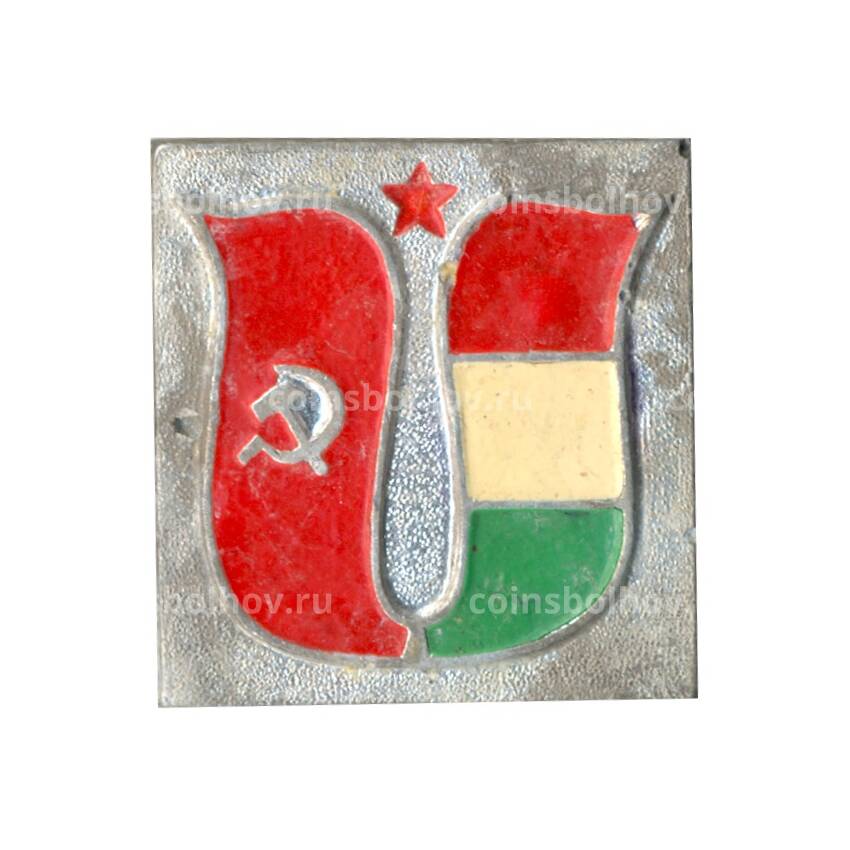 Значок Дружба «СССР-Венгрия»