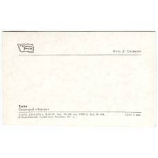 Открытка Хоста — Санаторий «Аврора» (вид 2)