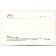 Открытка Хоста — Гостиница «Камелия» (вид 2)