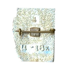 Значок Одесса (вид 2)