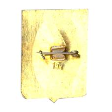 Значок Муром (вид 2)