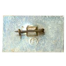 Значок Новгород (вид 2)