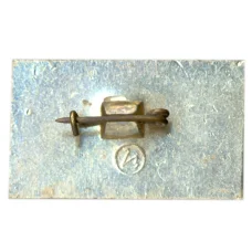 Значок Новгород (вид 2)