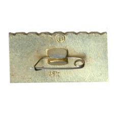 Значок Мемориал «Могила неизвестного солдата» (вид 2)