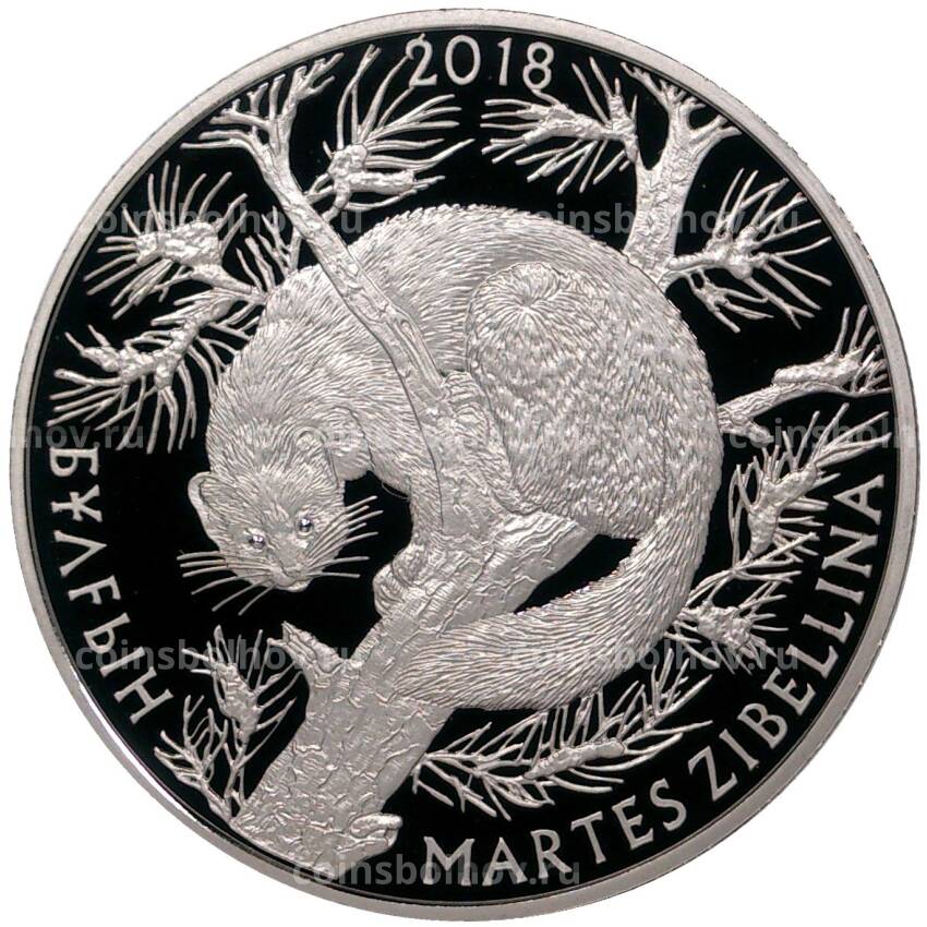 Монета 200 тенге 2018 года Казахстан «Флора и фауна Казахстана — Соболь» в подарочной коробке