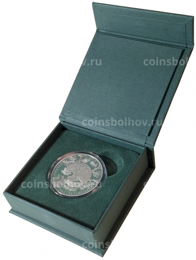 Монета 200 тенге 2018 года Казахстан «Флора и фауна Казахстана — Соболь» в подарочной коробке (вид 3)