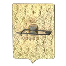 Значок Владимир (вид 2)