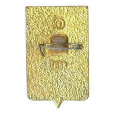 Значок Воронеж (вид 2)