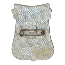 Значок Алма-Ата (вид 2)