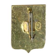 Значок Владимир (вид 2)