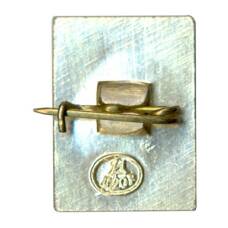 Значок Суздаль (вид 2)