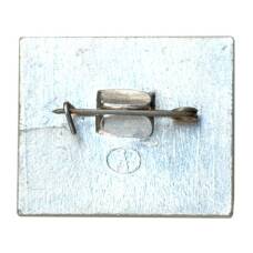 Значок Владимир (вид 2)