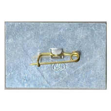 Значок Коломенское (вид 2)