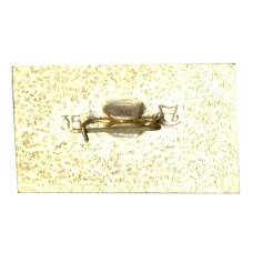 Значок Саратов (вид 2)