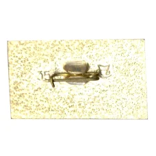 Значок Саратов (вид 2)