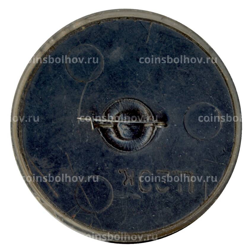 Значок Божья коровка — охраняйте меня (вид 2)