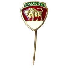 Значок Каунас
