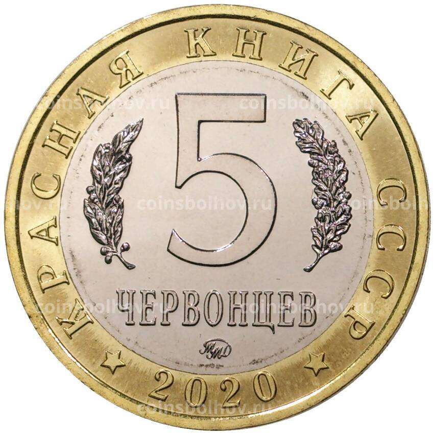 Монета 5 червонцев 2020 года ММД «Красная книга СССР — Шахин» (вид 2)