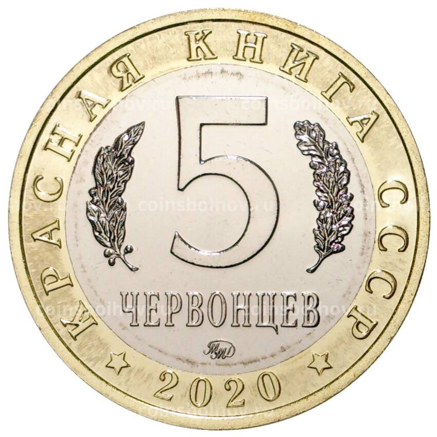 Монета 5 червонцев 2020 года ММД «Красная книга СССР — Подкаменщик обыкновенный» (вид 2)