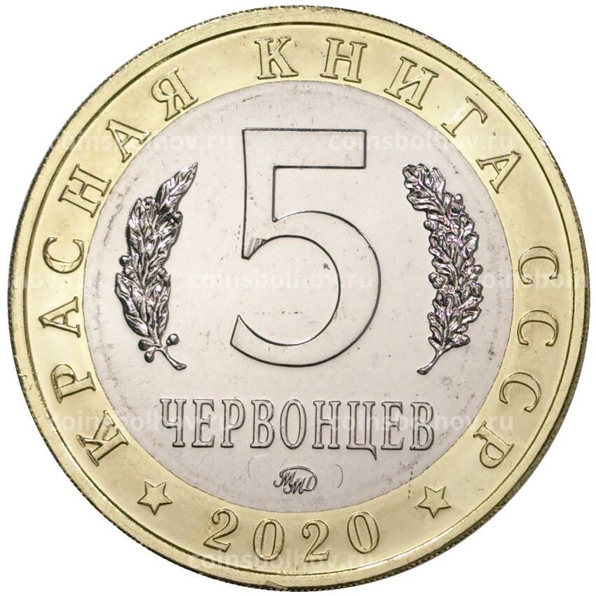Монета 5 червонцев 2020 года ММД «Красная книга СССР — Малоазиатский тритон» (вид 2)