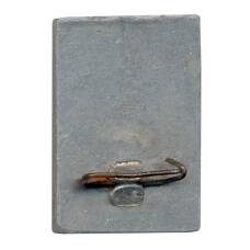 Значок 10 лет (вид 2)