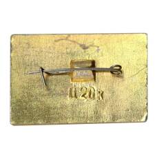 Значок Иркутск (вид 2)