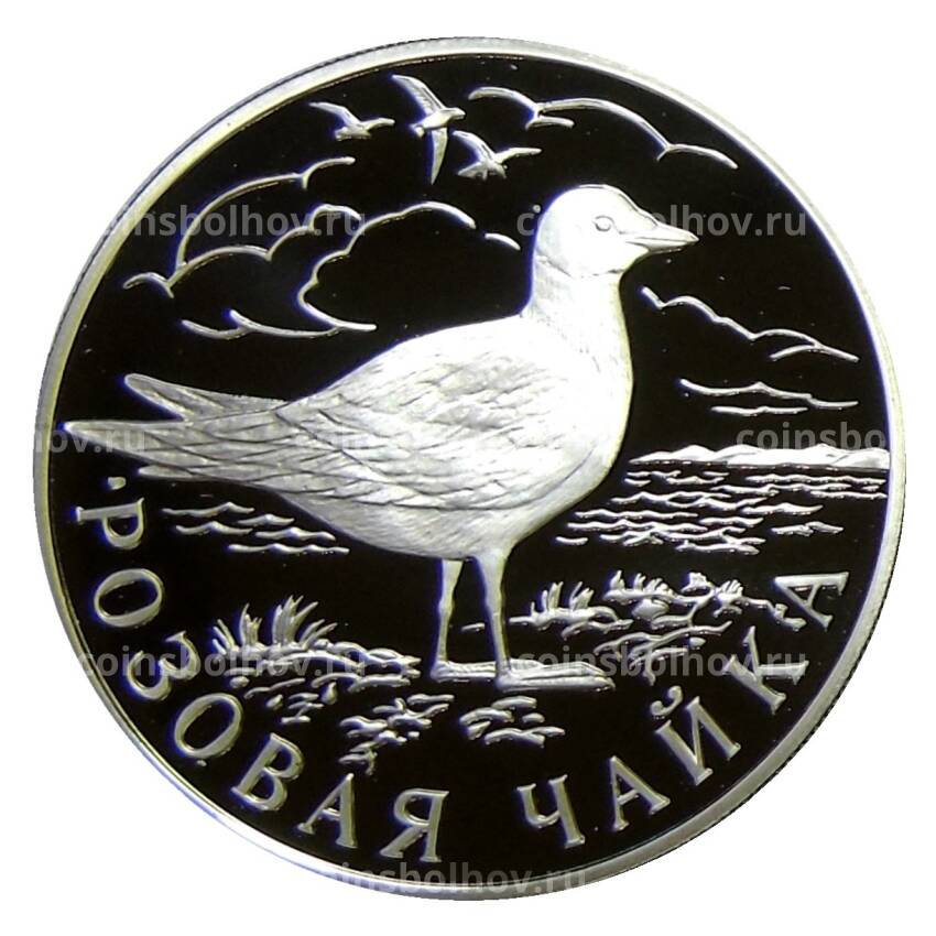 Монета 1 рубль 1999 года СПМД — Розовая чайка