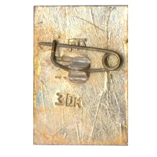 Значок Тбилиси — Мать Грузия (вид 2)