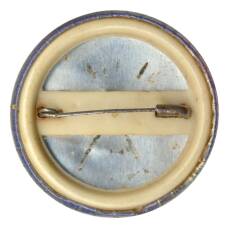 Значок Мир покемонов (вид 2)